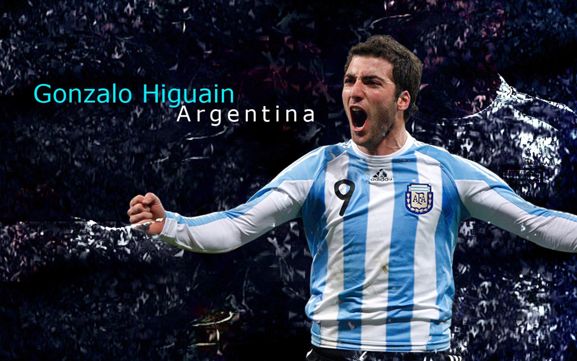 200蝶转身速度与划频对比