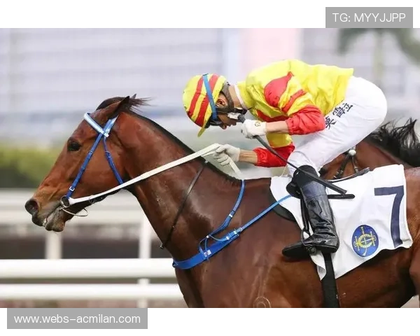 _速战速决：极速短兵相接的快节奏比赛_，速战速决的战役叫什么