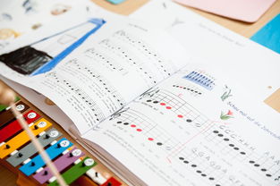 米兰体育(中国大陆)官网-中小学体育教师继续教育体系建设与实施研究，小学体育继续教育考试试题及答案