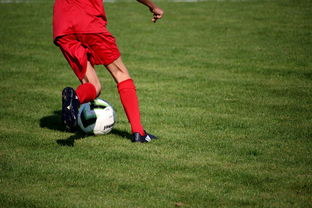 米兰体育APP下载-中国青少年篮球运动员伤病防控体系建设，青少年篮球训练现状分析